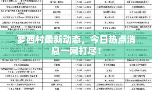 蘿西村最新動(dòng)態(tài),今日熱點(diǎn)消息一網(wǎng)打盡!