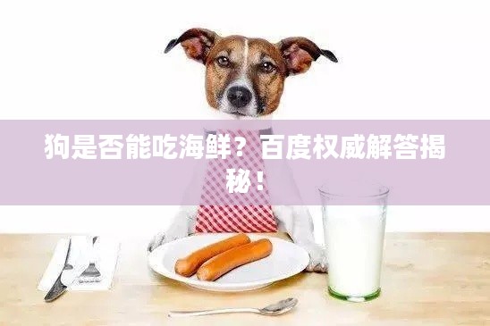 狗是否能吃海鮮?百度權威解答揭秘!