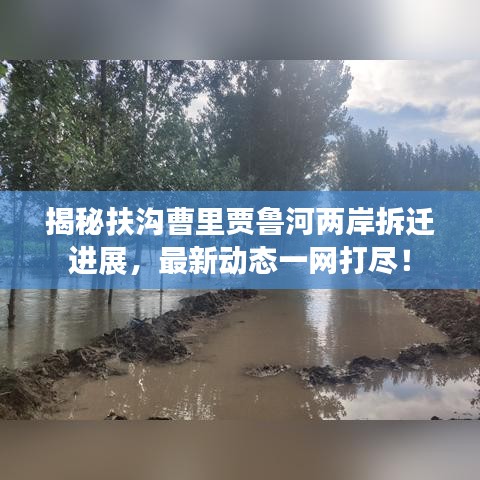 揭秘扶溝曹里賈魯河兩岸拆遷進展，最新動態一網打盡！