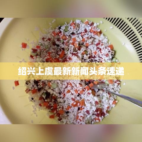 紹興上虞最新新聞頭條速遞