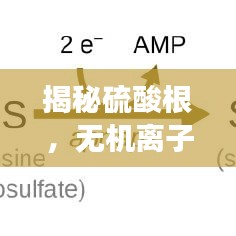 揭秘硫酸根,無機離子的核心角色解讀