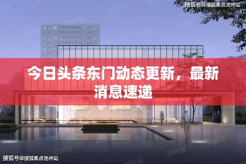 今日頭條東門動態(tài)更新,最新消息速遞