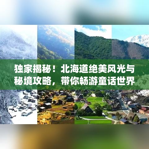 獨家揭秘！北海道絕美風光與秘境攻略，帶你暢游童話世界之旅！