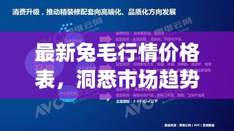 最新兔毛行情價格表，洞悉市場趨勢，把握行業(yè)脈動