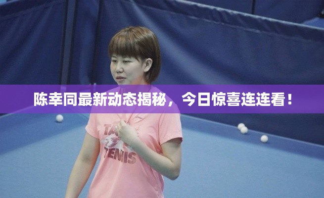 陳幸同最新動態揭秘,今日驚喜連連看!