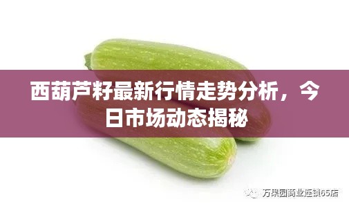 西葫蘆籽最新行情走勢分析，今日市場動態揭秘