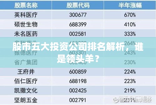 股市五大投資公司排名解析，誰是領頭羊？