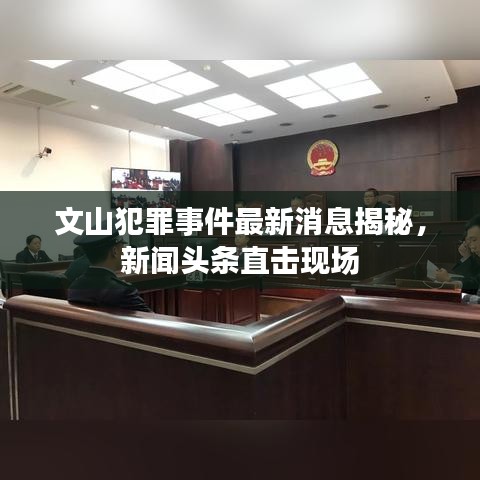 文山犯罪事件最新消息揭秘,新聞頭條直擊現場