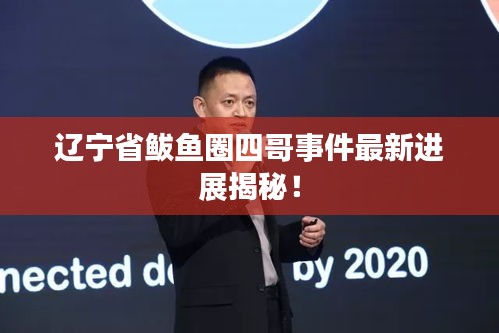 遼寧省鲅魚圈四哥事件最新進展揭秘!
