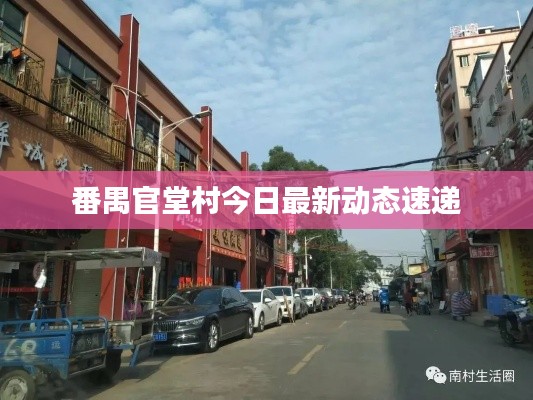 番禺官堂村今日最新動態速遞