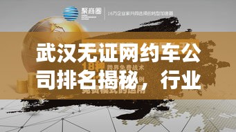 武漢無證網約車公司排名揭秘,行業解讀與深度分析