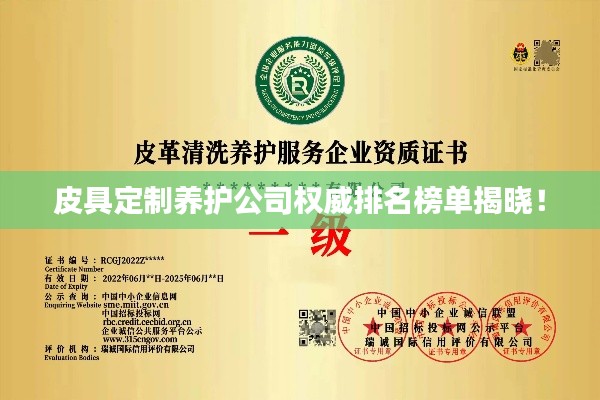 皮具定制養護公司權威排名榜單揭曉！