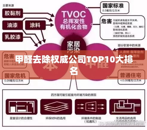 甲醛去除權威公司TOP10大排名