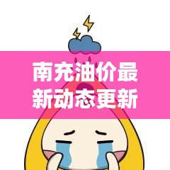 南充油價最新動態更新