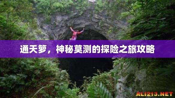 通天籮，神秘莫測的探險之旅攻略