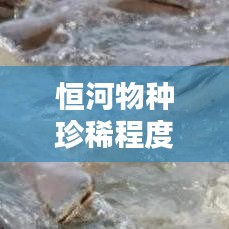 恒河物種珍稀程度排名TOP10榜單揭曉!