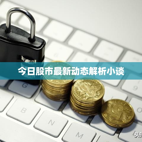 今日股市最新動態解析小談