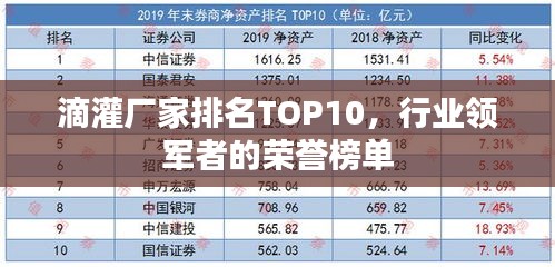 滴灌廠家排名TOP10,行業領軍者的榮譽榜單