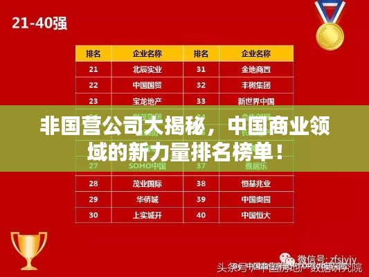 非國營公司大揭秘,中國商業領域的新力量排名榜單!