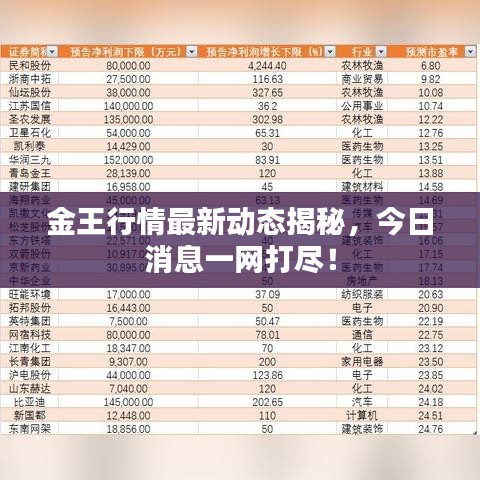 嬌小玲瓏 第2頁