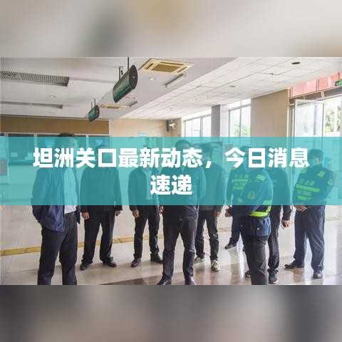 坦洲關口最新動態(tài),今日消息速遞