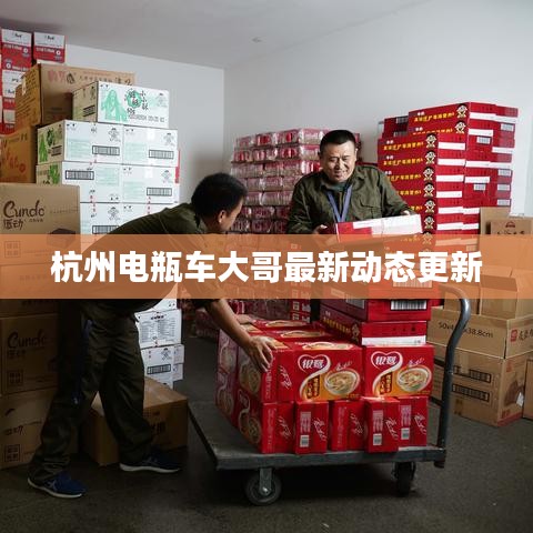杭州電瓶車大哥最新動態(tài)更新