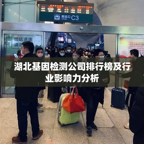 湖北基因檢測公司排行榜及行業影響力分析