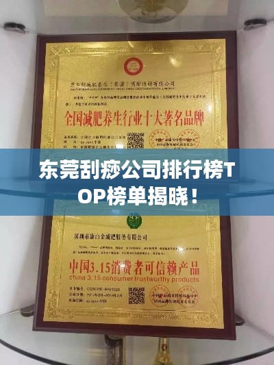 東莞刮痧公司排行榜TOP榜單揭曉!