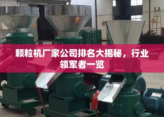 顆粒機廠家公司排名大揭秘,行業領軍者一覽