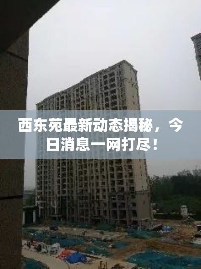 西東苑最新動(dòng)態(tài)揭秘，今日消息一網(wǎng)打盡！