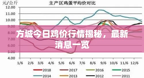 方城今日雞價行情揭秘,最新消息一覽