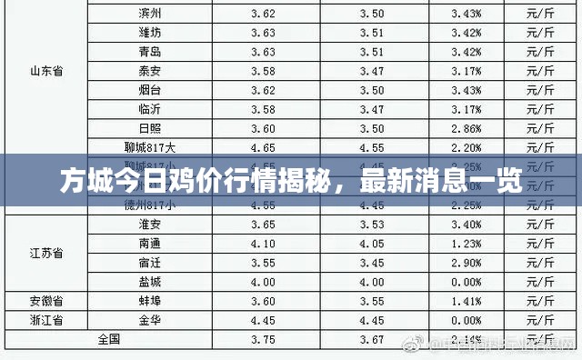 方城今日雞價行情揭秘,最新消息一覽
