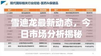 雪迪龍最新動態，今日市場分析揭秘