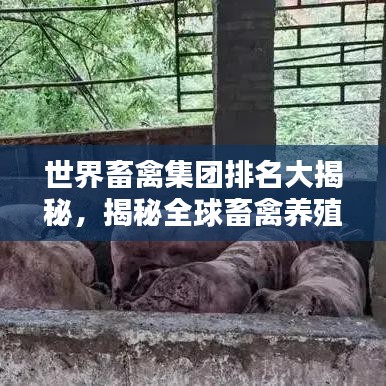 世界畜禽集團(tuán)排名大揭秘，揭秘全球畜禽養(yǎng)殖巨頭榜單