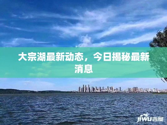 大宗湖最新動態,今日揭秘最新消息