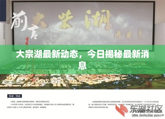 大宗湖最新動態,今日揭秘最新消息