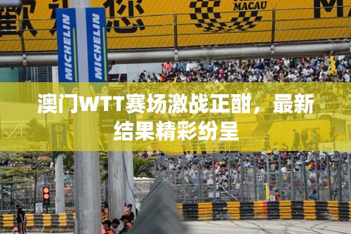 澳門WTT賽場(chǎng)激戰(zhàn)正酣，最新結(jié)果精彩紛呈