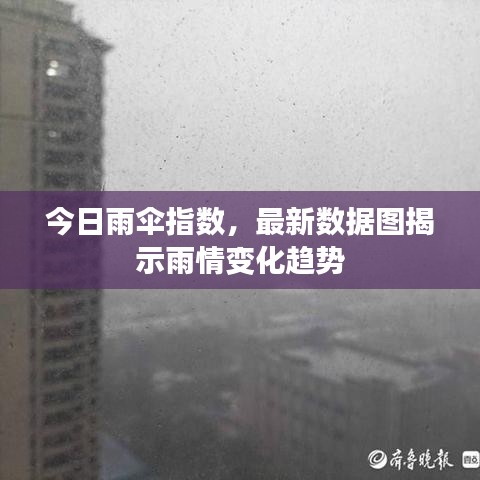 今日雨傘指數，最新數據圖揭示雨情變化趨勢