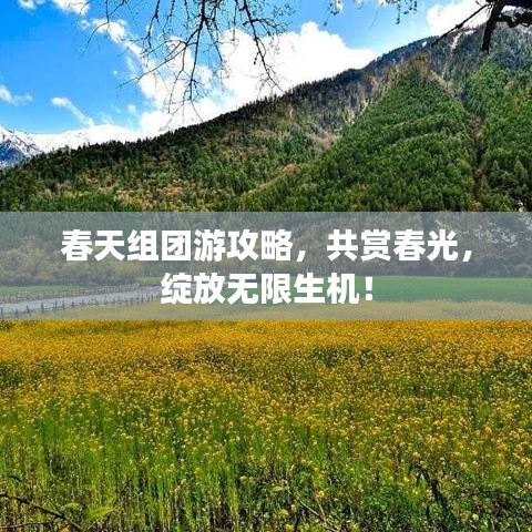 春天組團游攻略,共賞春光,綻放無限生機!