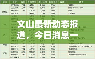 文山最新動態報道,今日消息一網打盡!
