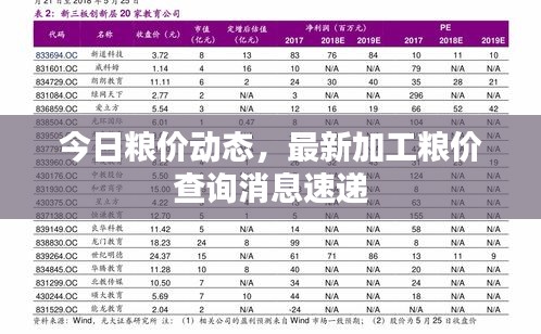 今日糧價動態，最新加工糧價查詢消息速遞