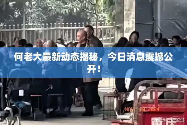 何老大最新動態揭秘，今日消息震撼公開！