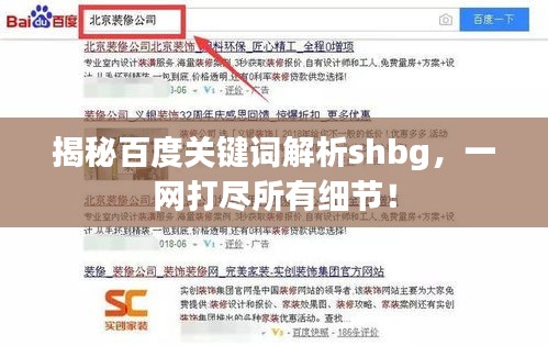 揭秘百度關(guān)鍵詞解析shbg,一網(wǎng)打盡所有細節(jié)!
