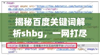 揭秘百度關鍵詞解析shbg,一網打盡所有細節!
