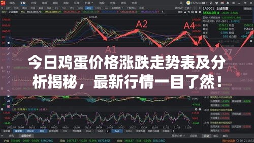 今日雞蛋價格漲跌走勢表及分析揭秘,最新行情一目了然!
