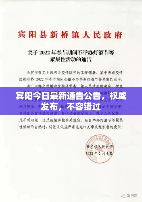 賓陽今日最新通告公告,權威發布,不容錯過