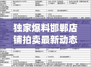 獨(dú)家爆料邯鄲店鋪拍賣最新動(dòng)態(tài),公告消息一網(wǎng)打盡!