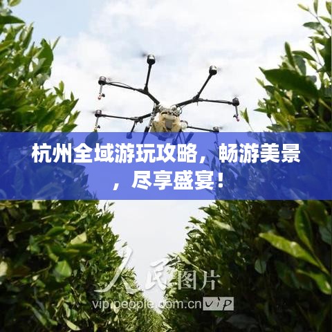 杭州全域游玩攻略，暢游美景，盡享盛宴！