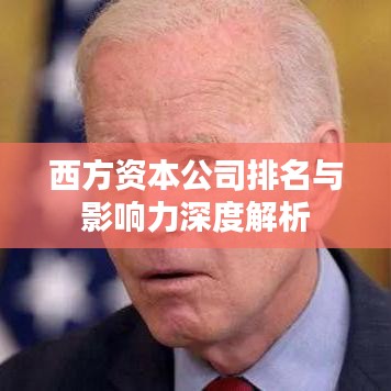 西方資本公司排名與影響力深度解析