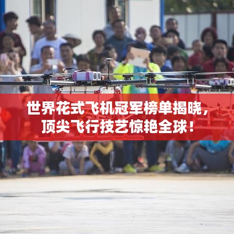 世界花式飛機(jī)冠軍榜單揭曉,頂尖飛行技藝驚艷全球!